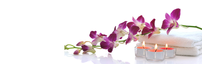 Profosyonel Spa Wellnes