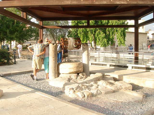 Tarsus