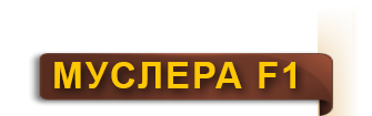 muslera_f1_ru