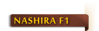 nashira_f1_etiket